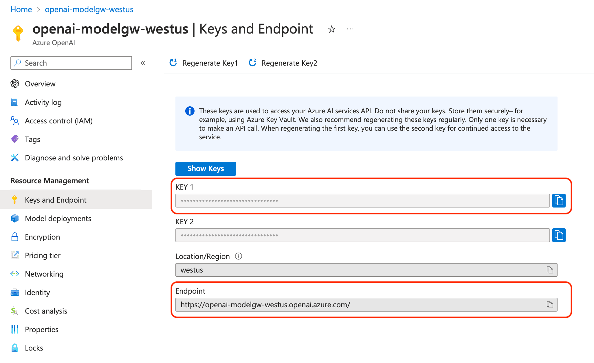 Azure OpenAI Keys and Endpoints